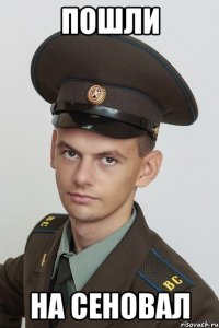 пошли на сеновал
