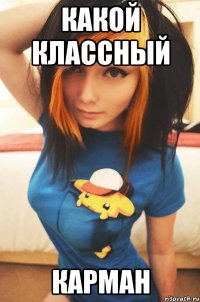 какой классный карман