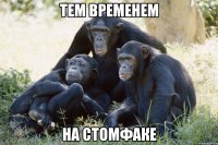 тем временем на стомфаке