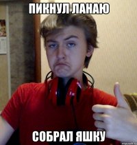 пикнул ланаю собрал яшку