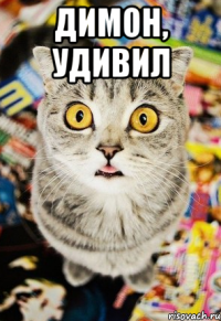 димон, удивил 