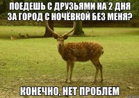 поедешь с друзьями на 2 дня за город с ночёвкой без меня? конечно, нет проблем