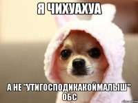 Я ЧИХУАХУА А НЕ "УТИГОСПОДИКАКОЙМАЛЫШ" ОБС