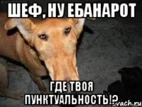 шеф, ну ебанарот где твоя пунктуальность!?