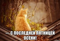  --- С последней пятницей осени!