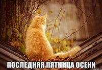  Последняя пятница осени