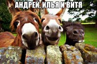андрей, илья и витя 
