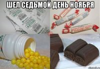 шел седьмой день ноября 