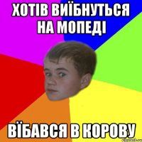 хотів виїбнуться на мопеді вїбався в корову