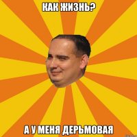 как жизнь? а у меня дерьмовая