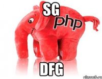 sg dfg