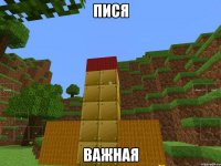 пися важная