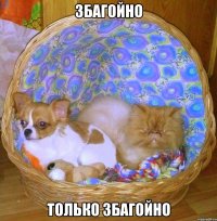 збагойно только збагойно