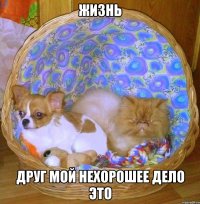 жизнь друг мой нехорошее дело это