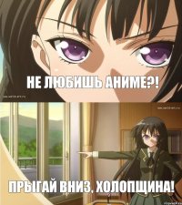 Не любишь аниме?! Прыгай вниз, холопщина!