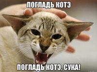 погладь котэ погладь котэ, сука!