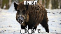 привіт як справи