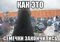 Как это Семечки закончились