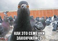  Как это семечки закончились