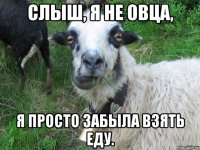 Слыш, я не овца, я просто забыла взять еду.