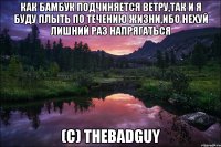 Как бамбук подчиняется ветру,так и я буду плыть по течению жизни,ибо нехуй лишний раз напрягаться (с) TheBadGuy