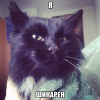 я шикарен