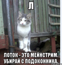 л лоток - это мейнстрим. убирай с подоконника.