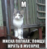 м миска полная.. поищу жрать в мусорке