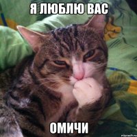 я люблю вас Омичи