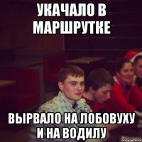 укачало в маршрутке вырвало на лобовуху и на водилу