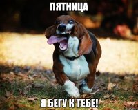 Пятница я бегу к тебе!
