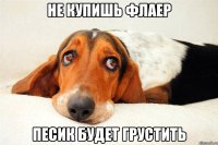 не купишь флаер песик будет грустить
