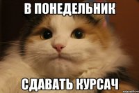 в понедельник сдавать курсач