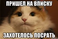пришел на вписку захотелось посрать