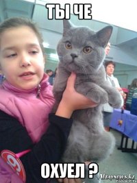 ты че охуел ?