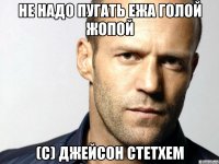 не надо пугать ежа голой жопой (с) джейсон стетхем