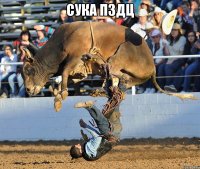 СУКА ПЗДЦ 