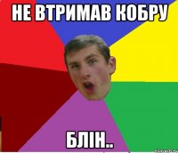 не втримав кобру блін..