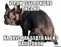 утром тебе пришло письмо на вкус как будто бы из налоговой
