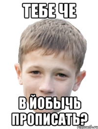 Тебе че В ЙОбычь прописать?