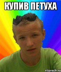 купив петуха 