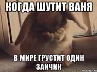 когда шутит ваня в мире грустит один зайчик