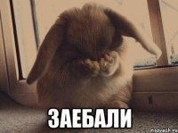  заебали