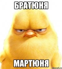 братюня мартюня