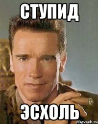 ступид эсхоль