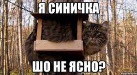 я синичка шо не ясно?