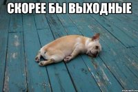скорее бы выходные 