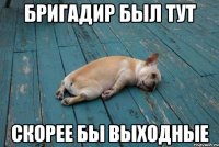 бригадир был тут скорее бы выходные