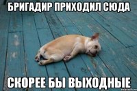бригадир приходил сюда скорее бы выходные
