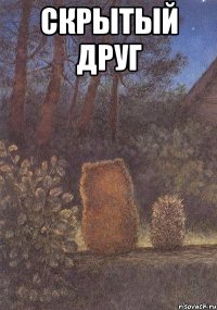 Скрытый друг 